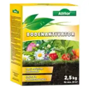Allflor Bodenaktivator