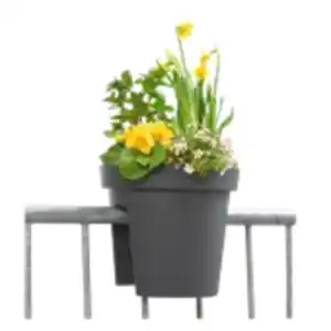 Balkon–Blumentopf