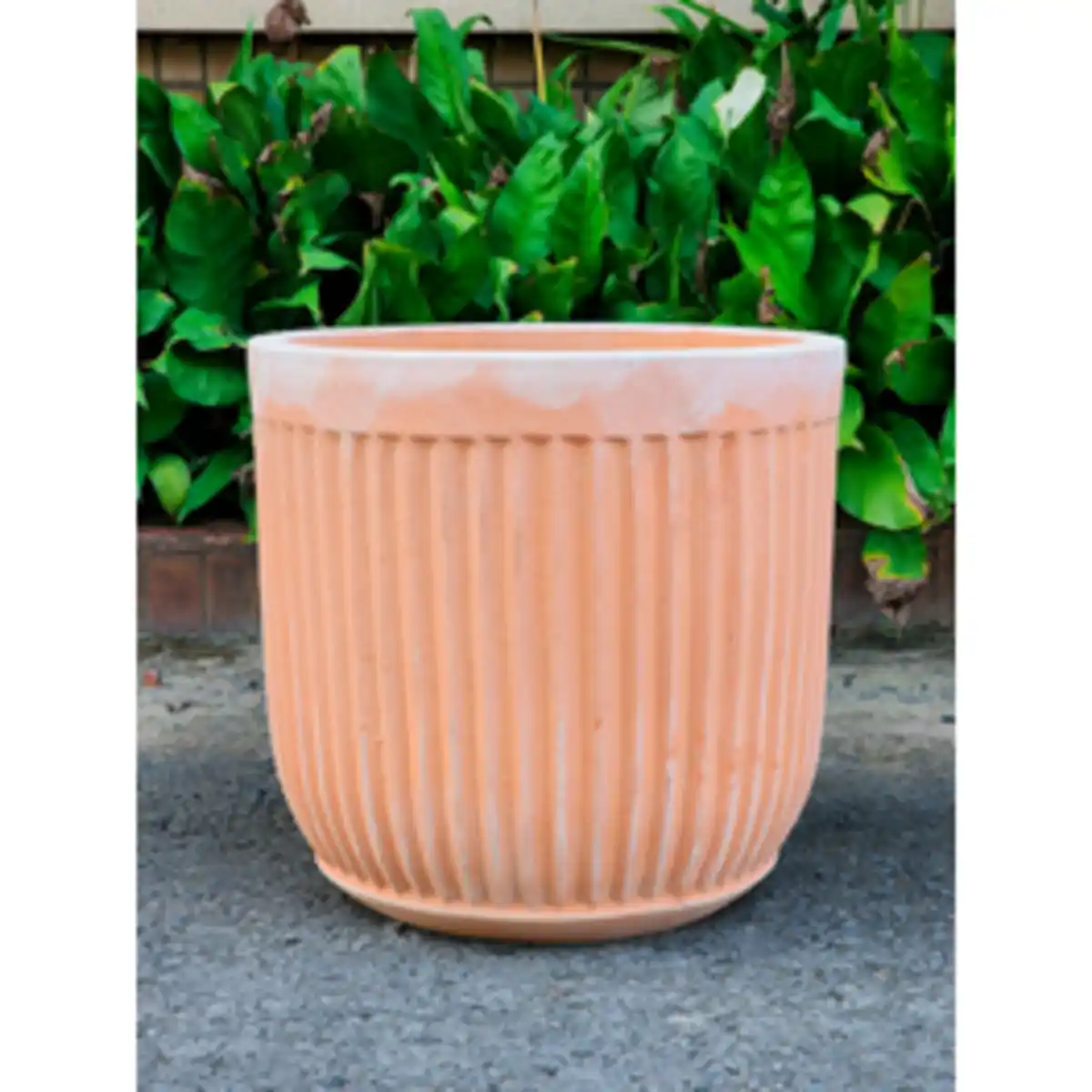 Bild 1 von Pflanzgefäß, White Washed Terracotta mit Rillen, HxØ: 21 x 20 cm