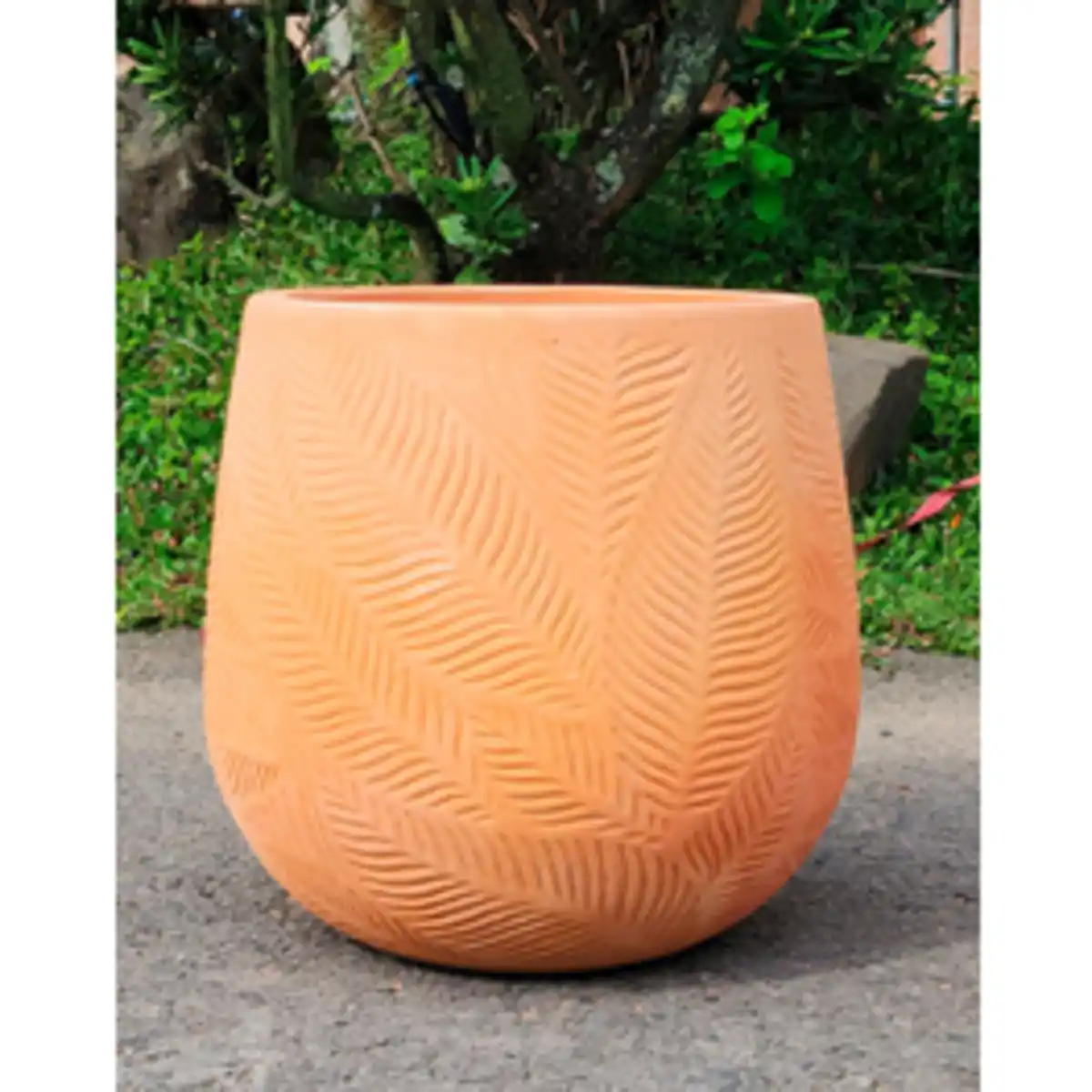 Bild 1 von Pflanzgefäß, White Washed Terracotta mit Blattmuster, HxØ: 37 x 38 cm