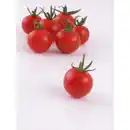 Bild 1 von Gartenkrone Cocktailtomate Solanum lycopersicum »Pepe«, veredelt