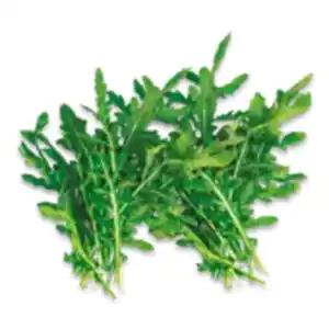 Rucola