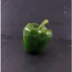 Gartenkrone Paprika Capsicum annuum »California Wonder«, grün