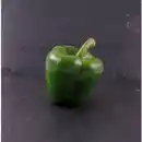 Bild 1 von Gartenkrone Paprika Capsicum annuum »California Wonder«, grün