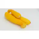 Bild 1 von Gartenkrone Zucchini Cucurbita pepo »Sebring«, gelb