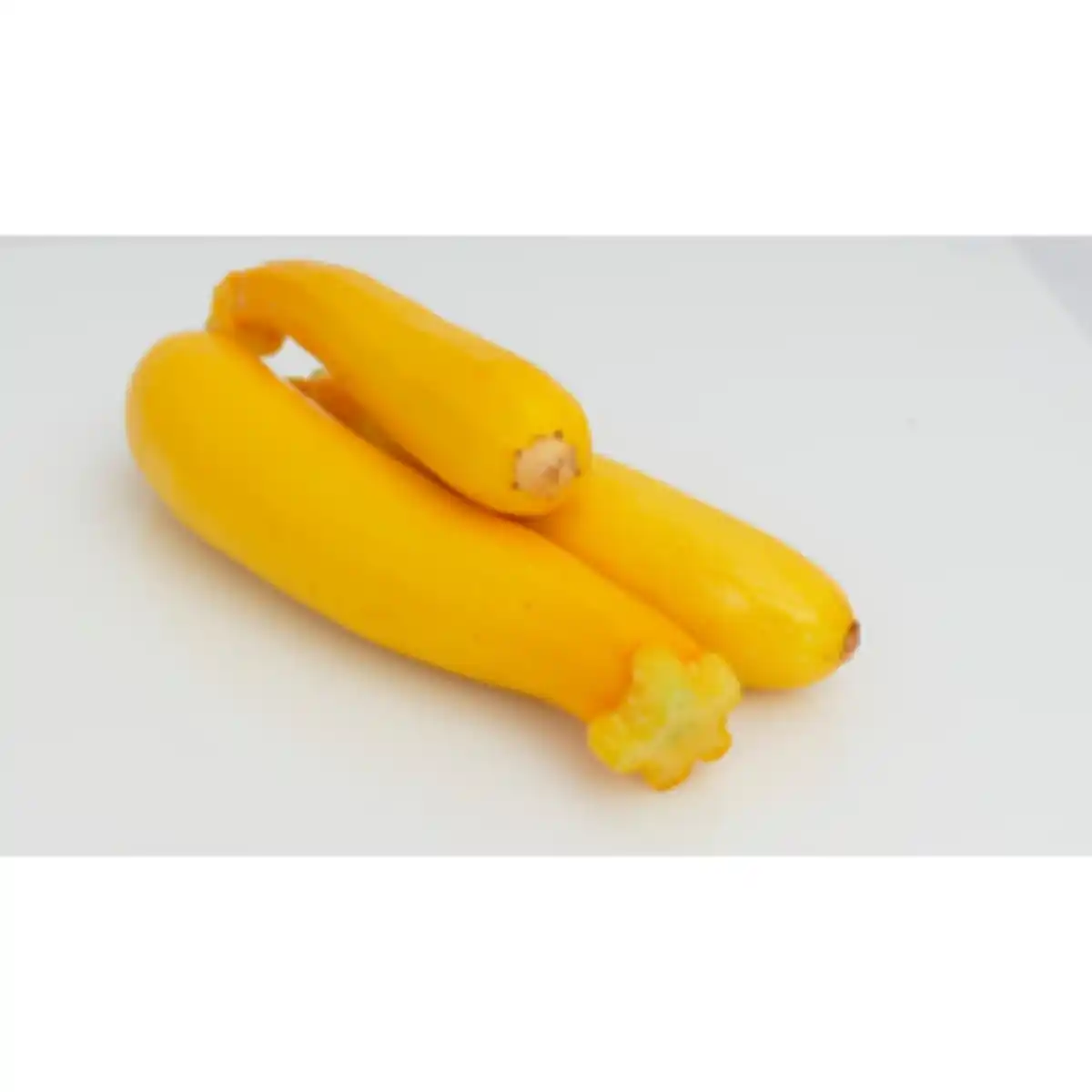 Bild 1 von Gartenkrone Zucchini Cucurbita pepo »Sebring«, gelb