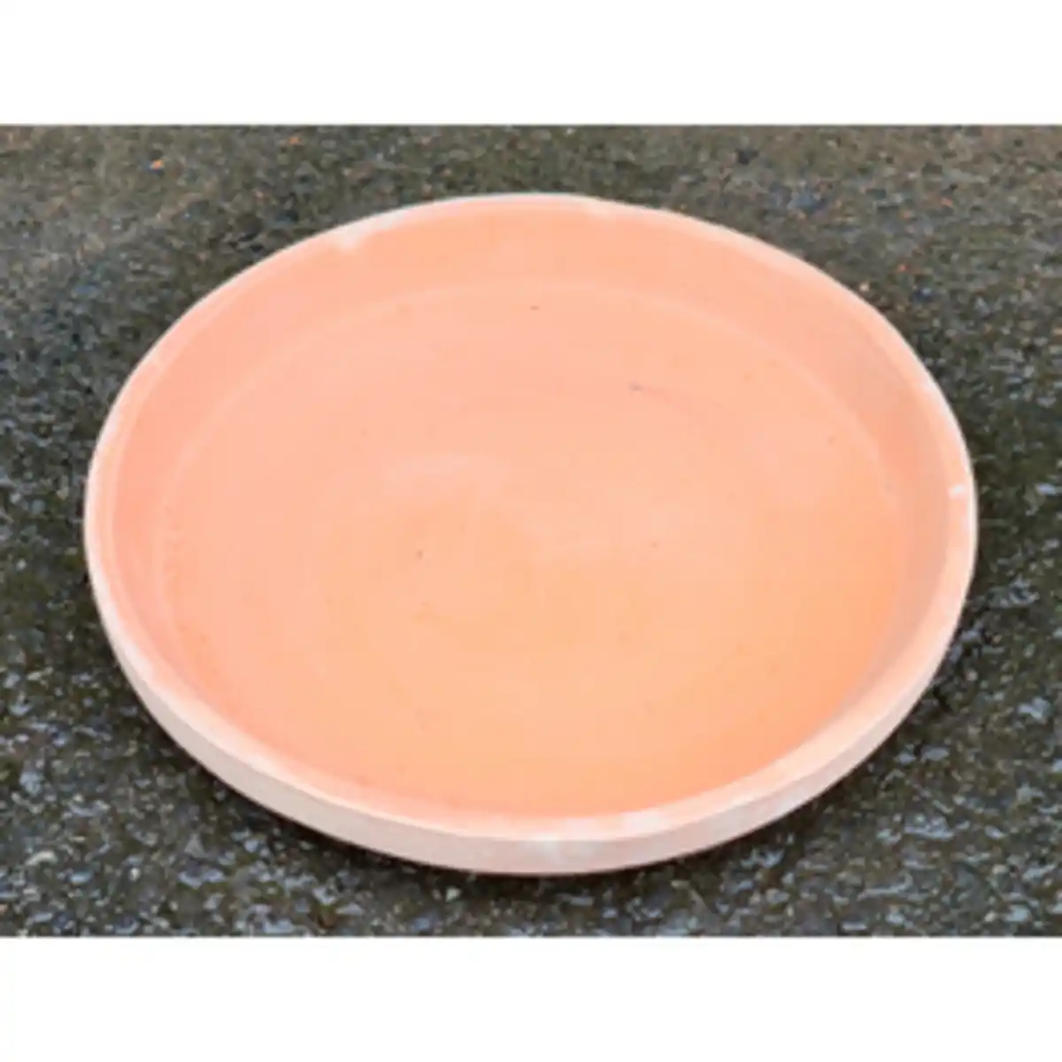 Bild 1 von Untersetzer, White Washed Terracotta, Ø 20 cm