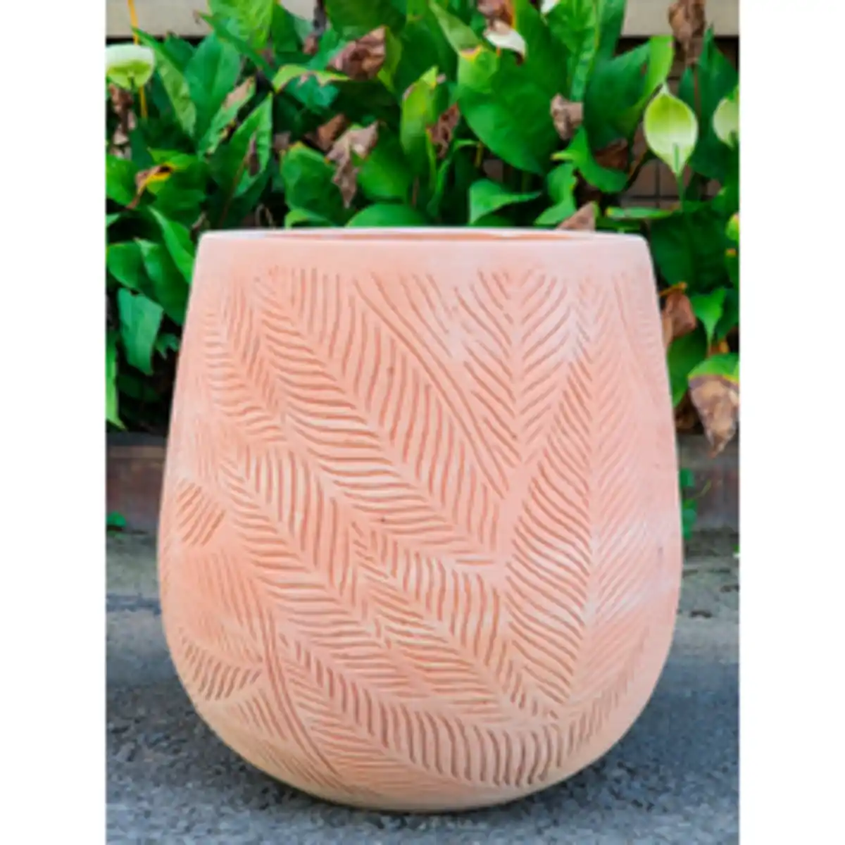 Bild 1 von Pflanzgefäß, White Washed Terracotta mit Blattmuster, HxØ: 26 x 27 cm