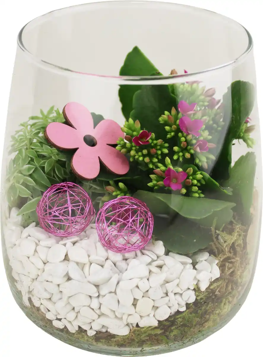 Bild 1 von Osterarrangement Frühlingsglas Kalanchoe & Sedum in Glasvase