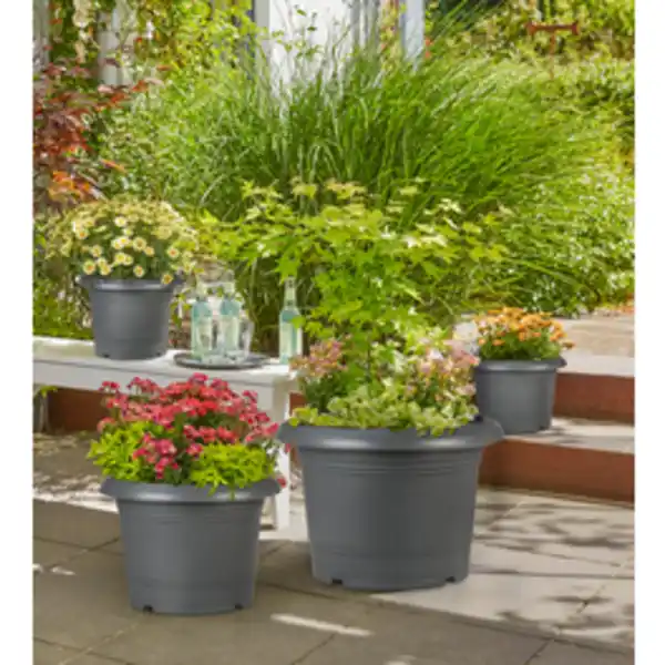 Bild 3 von SCHEURICH Pflanzgefäß »Oliver«, ØxH: 40 x 28 cm, grau