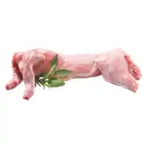 Frisches ganzes Hauskaninchen ohne Kopf