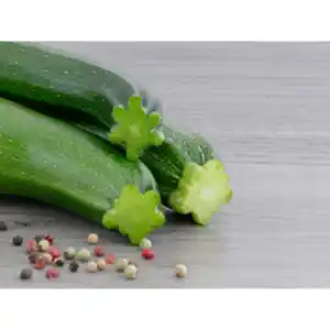 Gartenkrone Zucchini Cucurbita pepo »Tristan«, grün