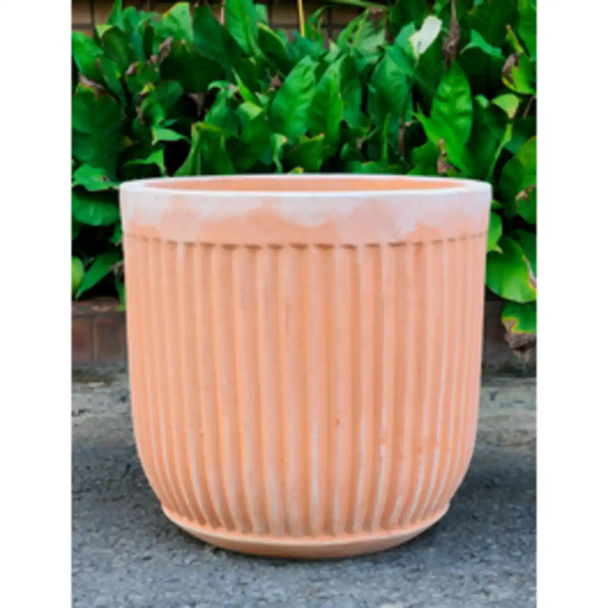 Bild 1 von Pflanzgefäß, White Washed Terracotta mit Rillen, HxØ: 29 x 28 cm