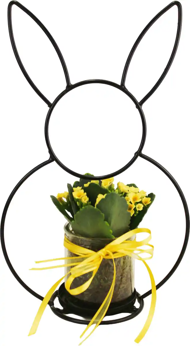 Bild 1 von Osterarrangement Metallhase Kalanchoe im Glas mit Osterdeko