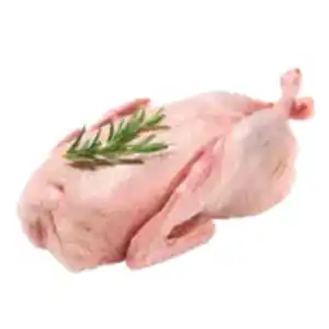 Frische junge Ente