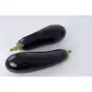 Bild 1 von Gartenkrone Aubergine Solanum melongena »Bakota«