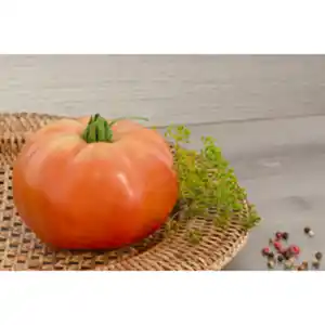 Gartenkrone Fleischtomate Solanum lycopersicum »Carmelo«, veredelt