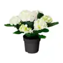 Bild 4 von GARDENLINE Hortensien-Busch