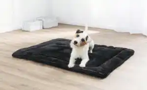 Tierliegekissen mit Frischeduft Gr. L