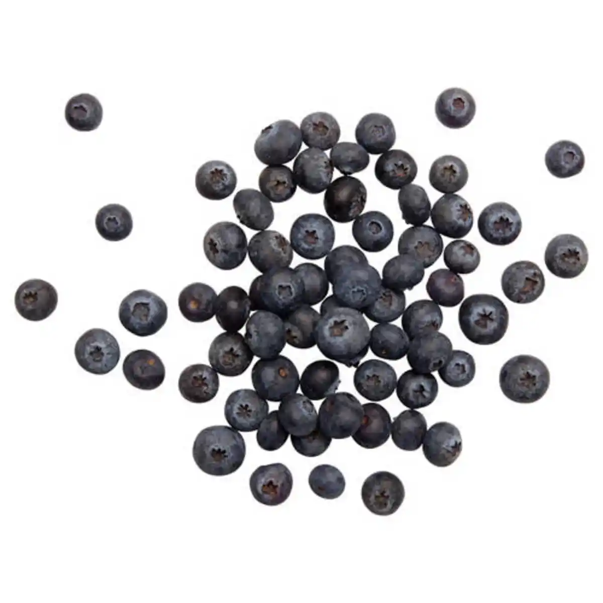 Bild 1 von KLEINE SCHÄTZE Heidelbeeren 150 g