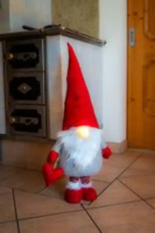 Bild 3 von LED-Teleskop-Deko-Wichtel "Bruno"