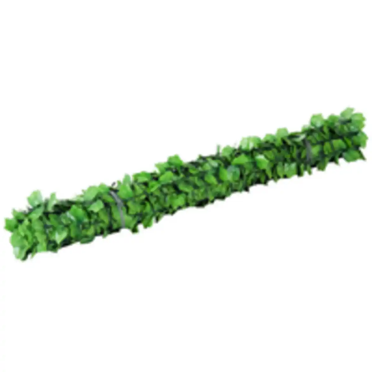 Bild 4 von Sichtschutzhecke