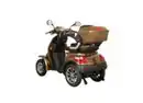 Bild 2 von E-Seniorenmobil CL-30ZR-60, Blei-Akku, 4-Rad, 1000 Watt, Blei Braun