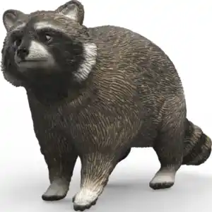 Schleich 14937 Waschbär