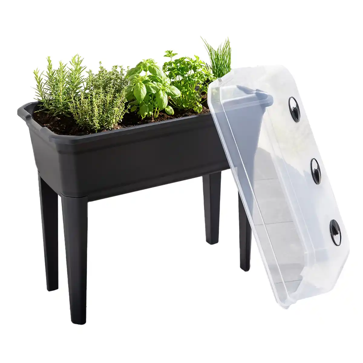 Bild 1 von Hochbeet aus Kunststoff 42L, ca. 75 x 37 x 79 cm