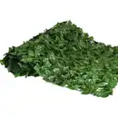 Bild 3 von Sichtschutzhecke