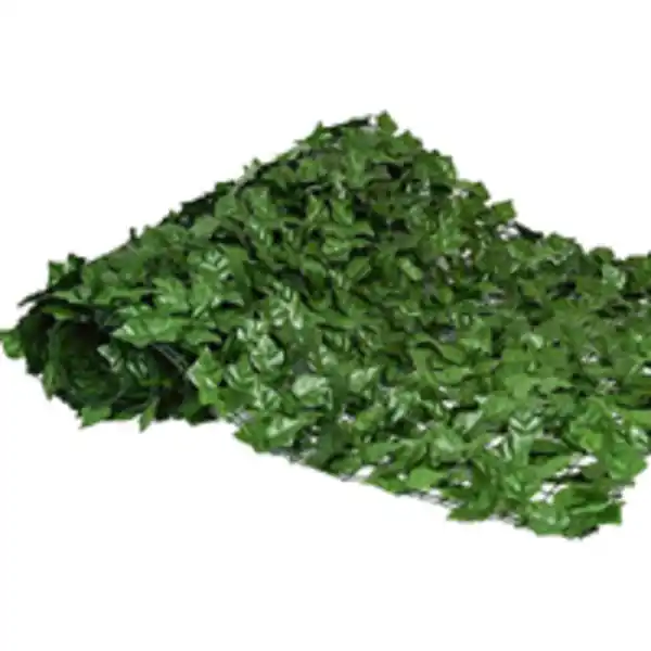 Bild 3 von Sichtschutzhecke