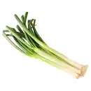 Bild 1 von Lauchzwiebeln Bund