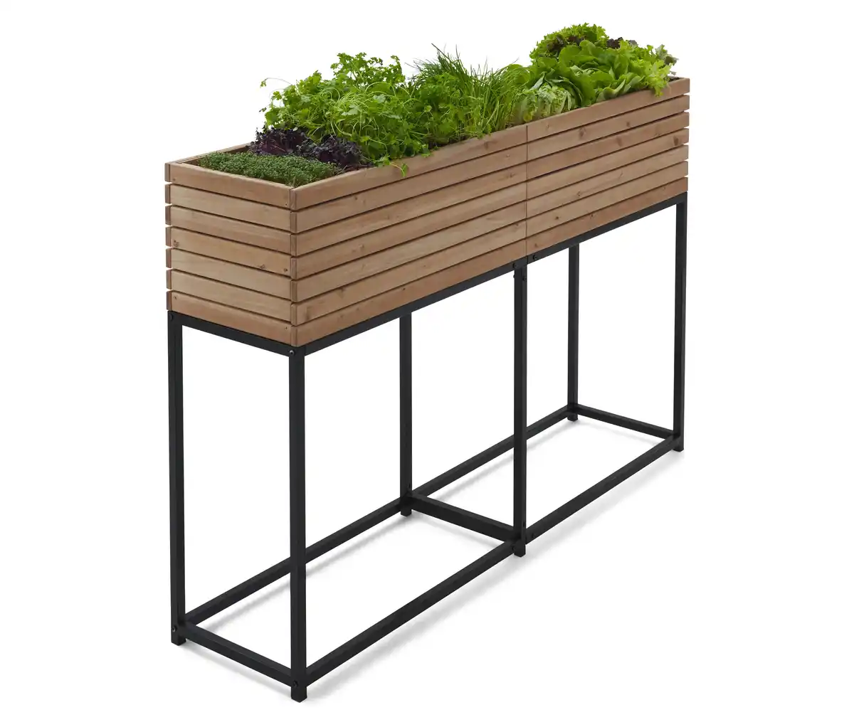 Bild 1 von Schlankes Hochbeet »Elin«