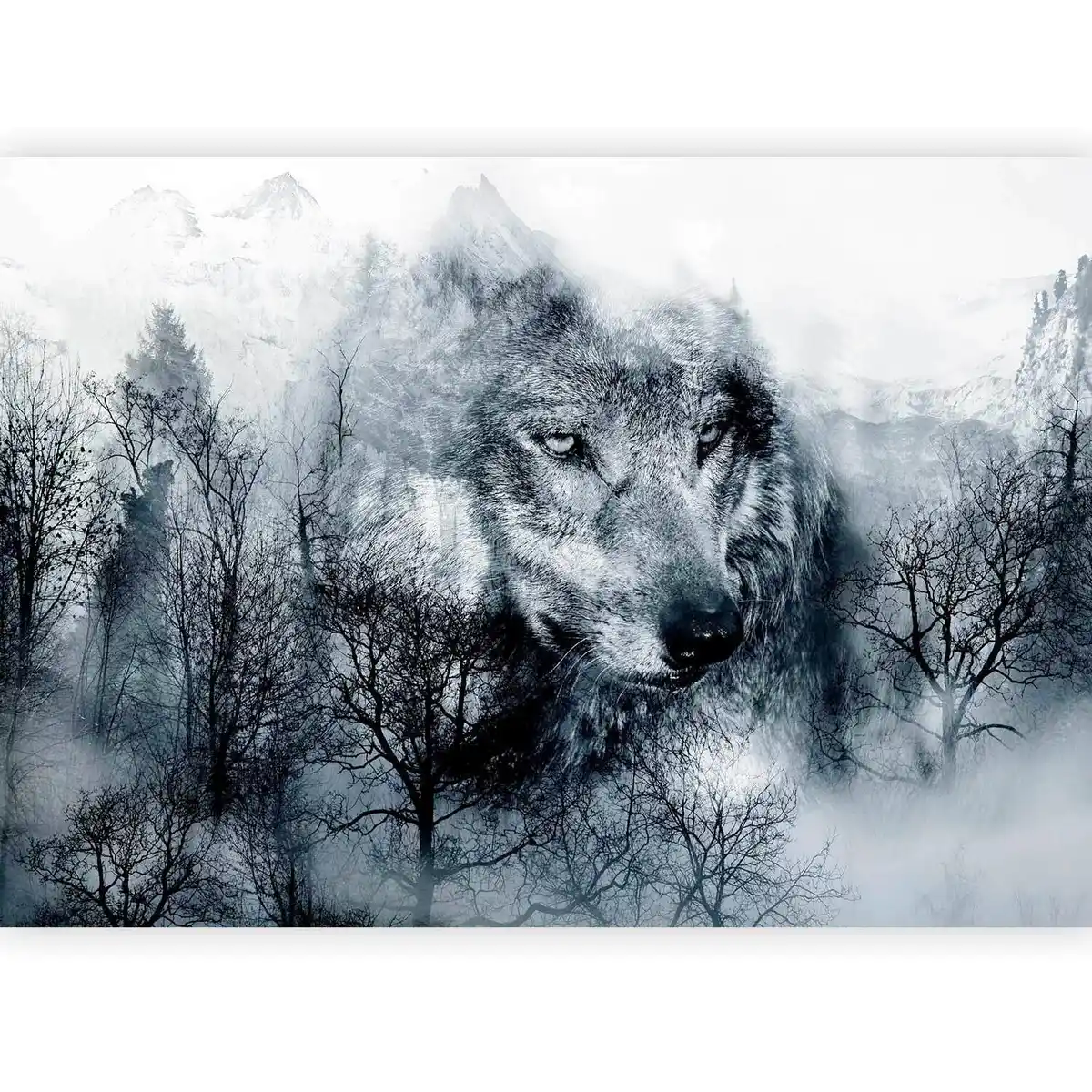 Bild 1 von Fototapete Hde Schwarz/Weiß, Schwarz, Weiß