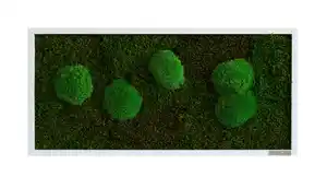 Moosbild Grün, Grün