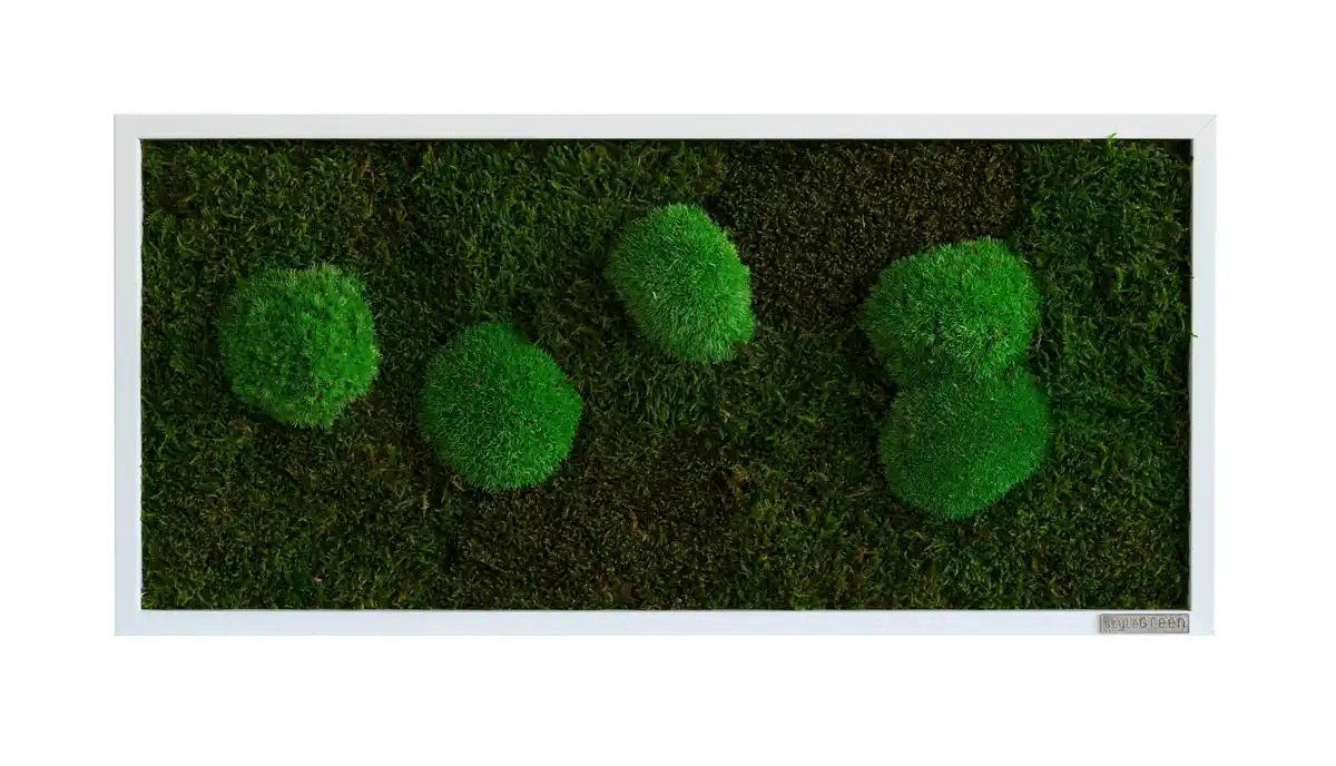 Bild 1 von Moosbild Grün, Grün