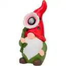 Bild 4 von Solargartenzwerg