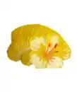 Bild 1 von Blumen-Servietten, gelb