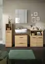 Bild 1 von Badezimmer Ice 4-tlg. Eiche Artisan, Eiche Artisan