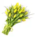 Bild 1 von Tulpenstrauß mit Beiwerk