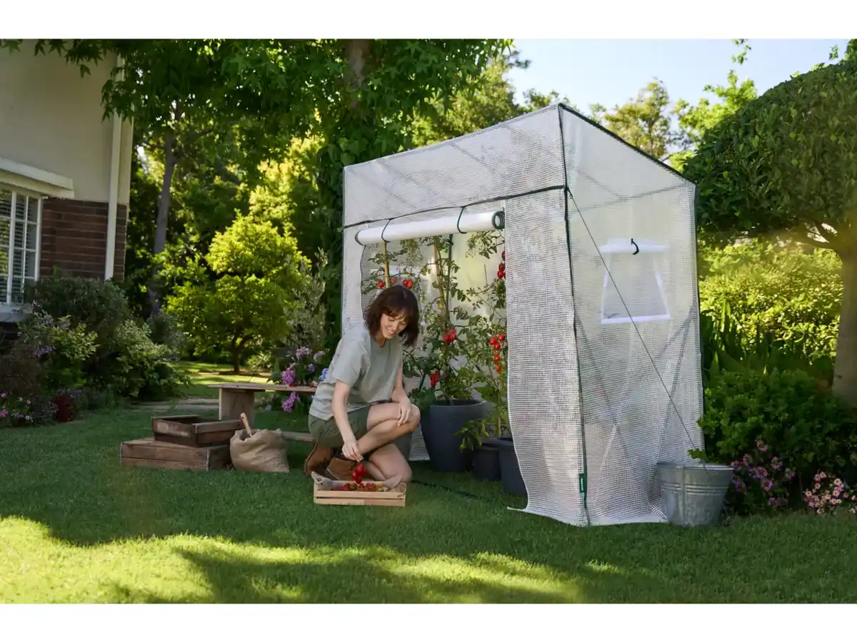 Bild 1 von PARKSIDE Gewächshaus