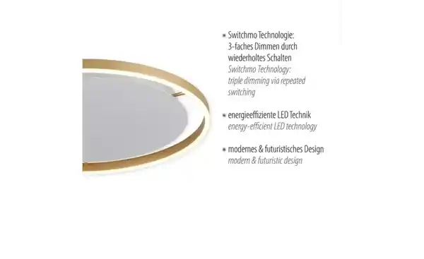 Bild 4 von Paul Neuhaus Deckenleuchte