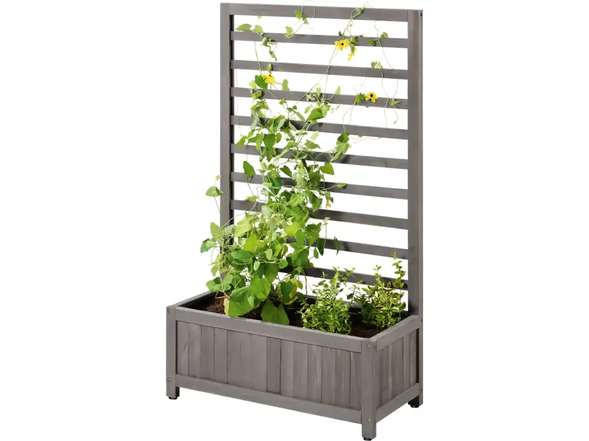 Bild 1 von PARKSIDE Pflanzkasten mit Rankgitter