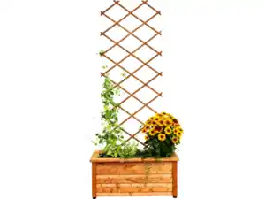 PARKSIDE Holz-Spalier