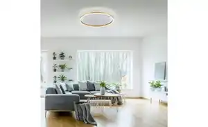 Paul Neuhaus Deckenleuchte