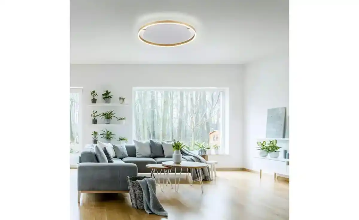 Bild 1 von Paul Neuhaus Deckenleuchte