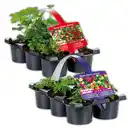 Bild 1 von Balkonkasten