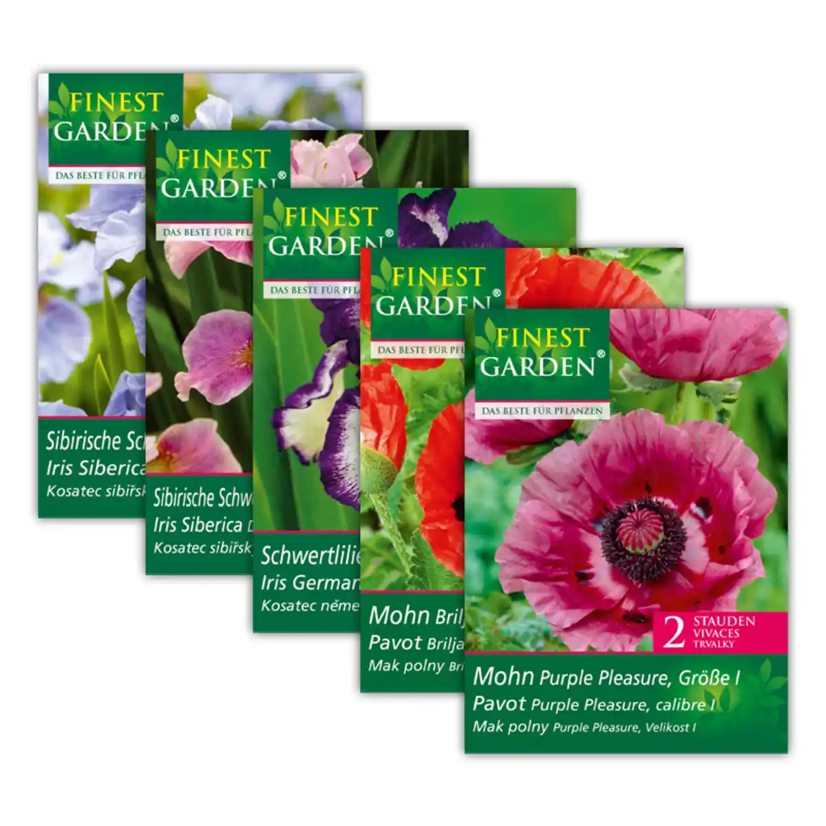 Bild 1 von Finest Garden Premium Iris & Papaver Zwiebeln