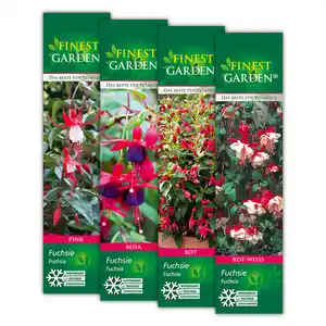 Finest Garden Winterharte Fuchsien