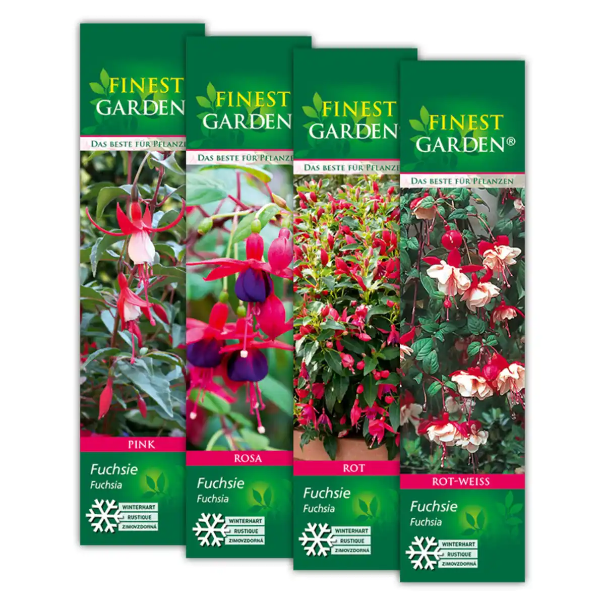 Bild 1 von Finest Garden Winterharte Fuchsien